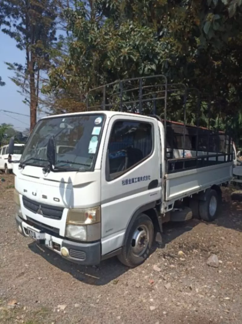 FUSO ROSA   - 2014