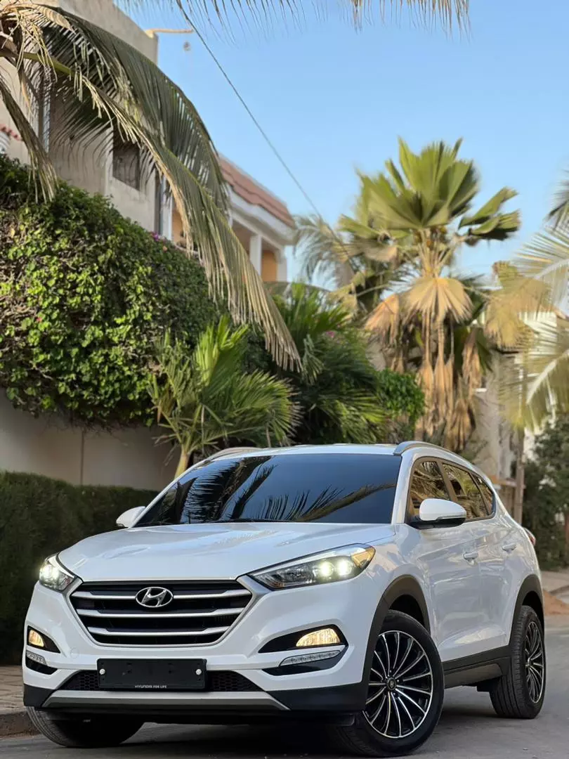 Hyundai Santa Fe   - 2019