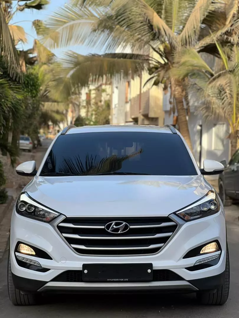 Hyundai Santa Fe   - 2019