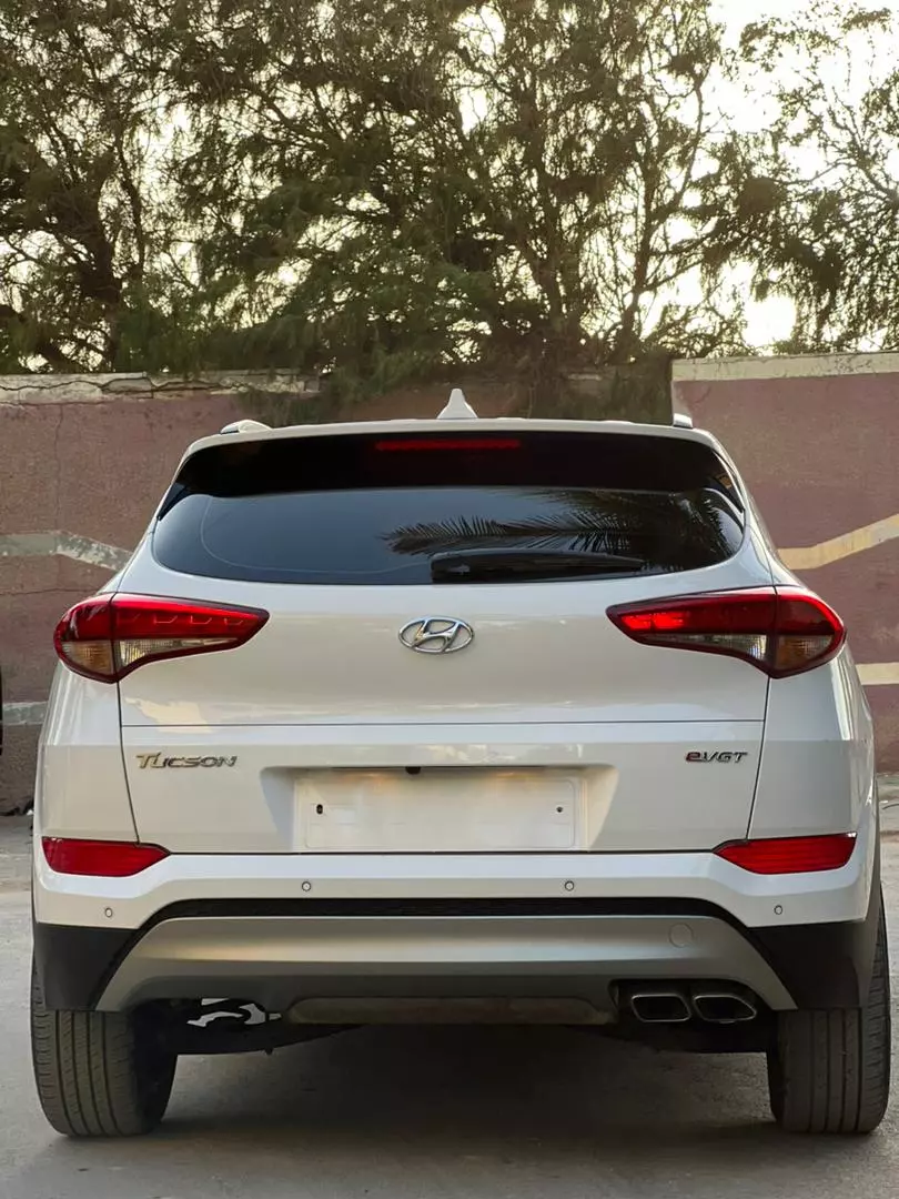 Hyundai Santa Fe   - 2019